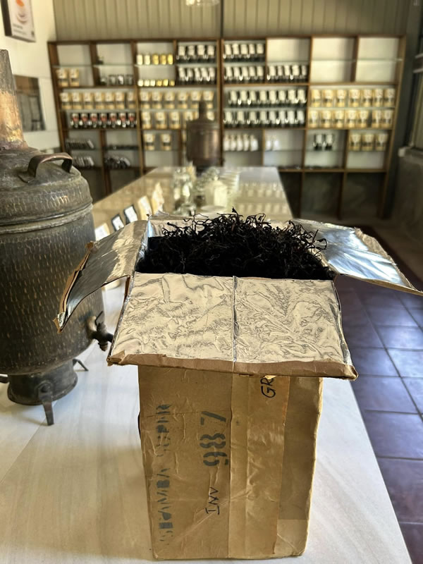 469477817_122119533152575573_9094419899587096491_n