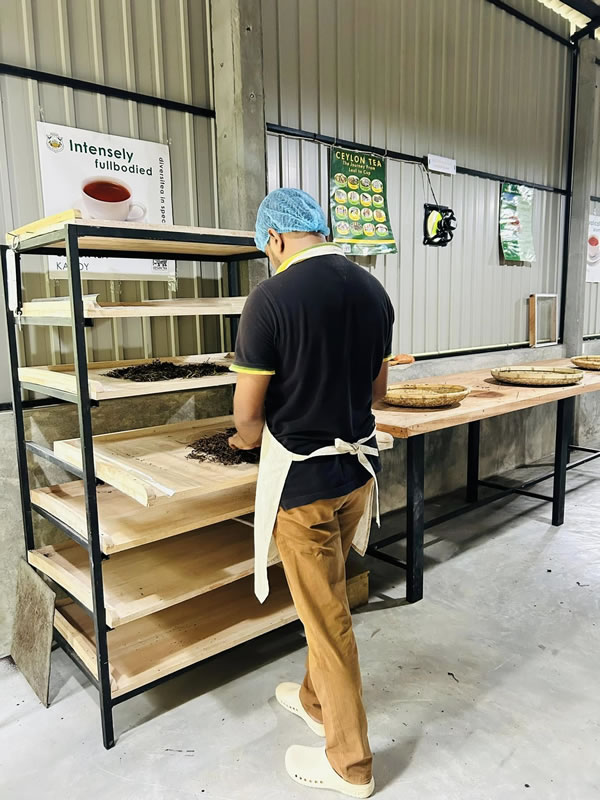 470243183_122122424444575573_2319294788440107552_n (2)