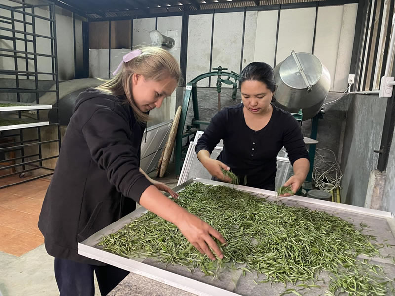 470745965_122122424156575573_7731316191188111985_n