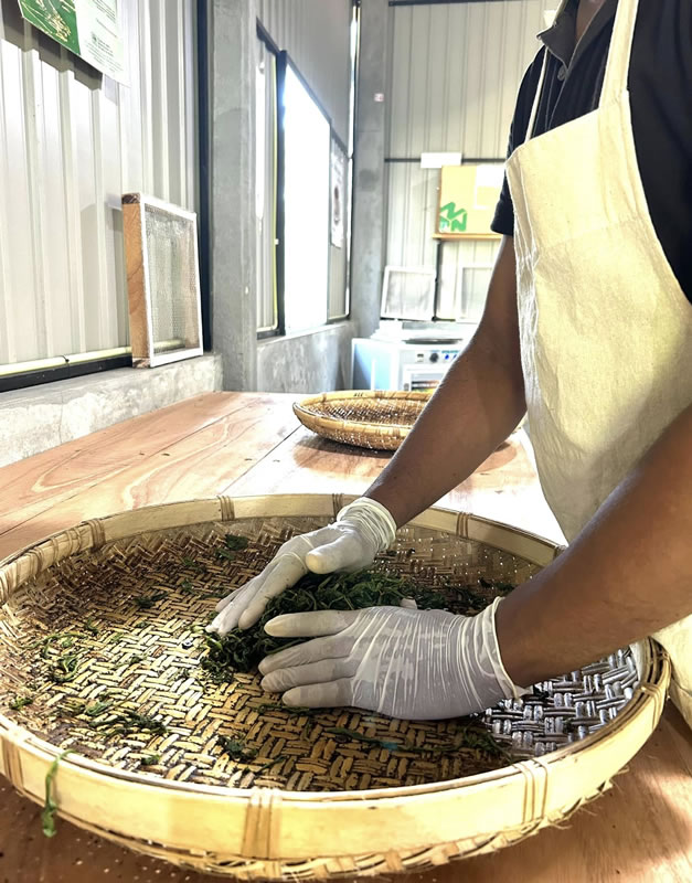 470993183_122122424318575573_1232960353226879568_n