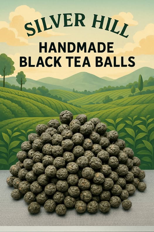 557632928_788518857264855_6657747605867454727_n