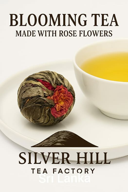 559568714_795457866570954_2639009054862645871_n